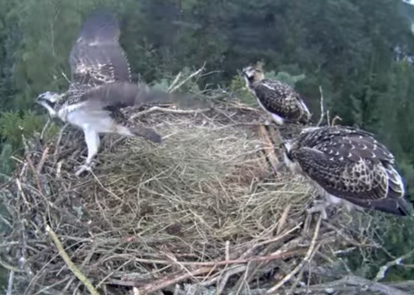 Erster Flugversuch 2021